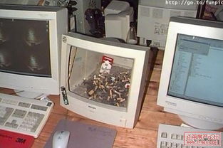 啼笑皆非 那些年坑爹的电脑用法与计算房维护的那些事